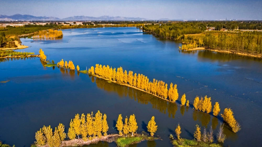 济宁十里湖生态湿地治理
