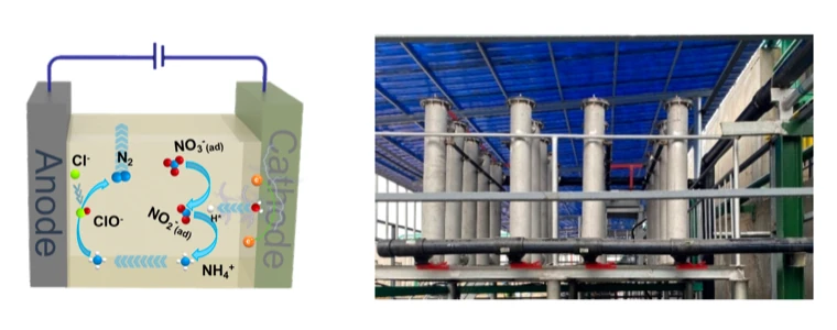 "活性氯"介导的定向脱氮工艺